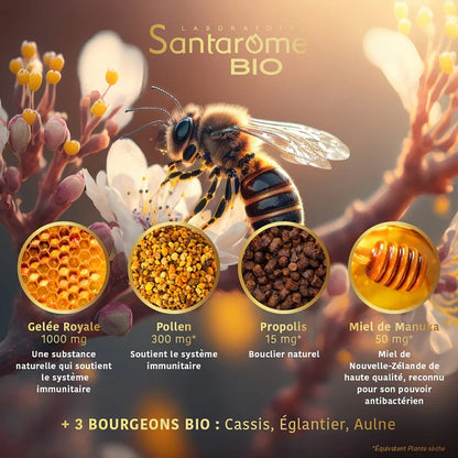 Gelée Royale Pollen Propolis Miel de Manuka Bio, 20 ampoules- SANTAROME BIO