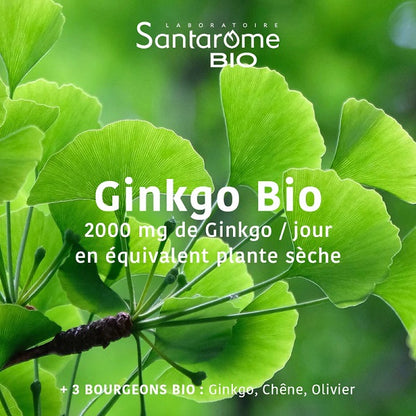 Ginkgo Bio 2000, 20 ampoules- SANTAROME BIO