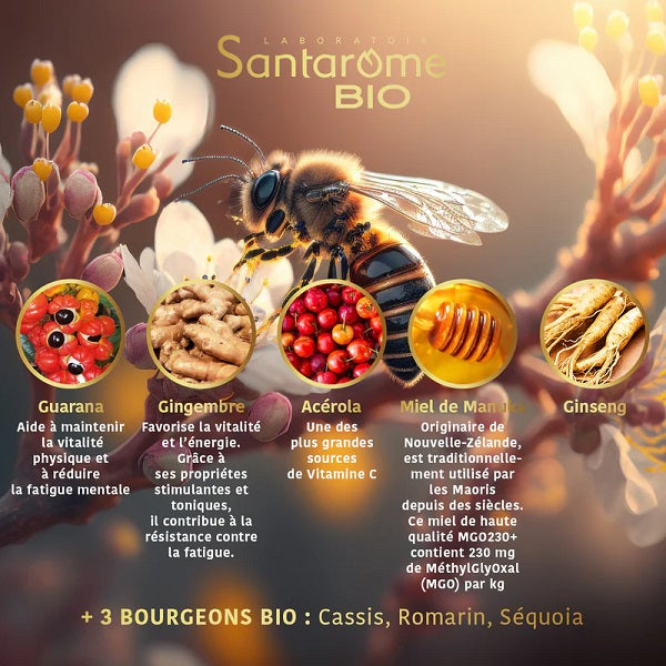 Ginseng Guarana Acérola Gingembre Miel de Manuka Bio, 20 ampoules - SANTAROME BIO